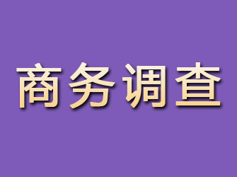 石台商务调查